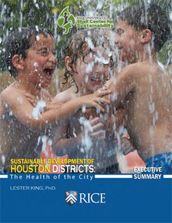 HSI 2013 Report Cover